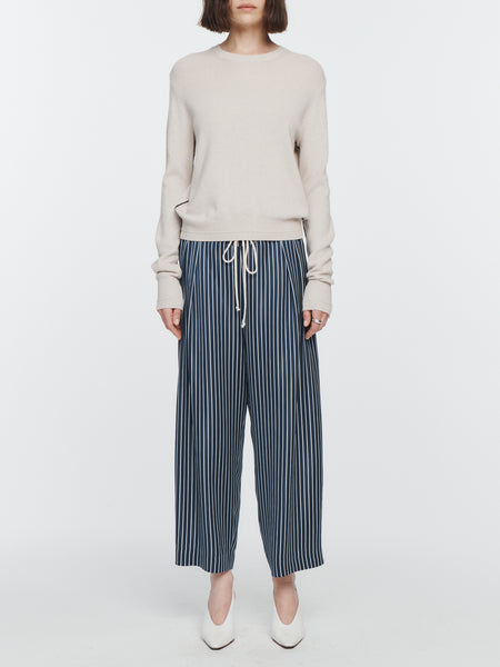 Drawstring Pleat Front Pants in Midnight Navy Stripe